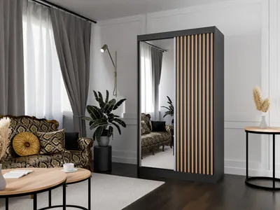 Produktbild von Kleiderschrank Lili mit Lamellen 120 cm inklusive 2 Schiebetüren Schwebetürenschrank Kleiderstange Garderobe Schrank Lieferung bis in die Wohnung (Farbe: schwarz, schwarz, Lamelle wotan, Spiegel)