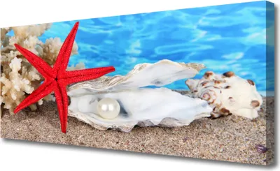 Produktbild von Tulup Leinwand-Bilder 125x50 Wandbild Canvas Kunstdruck Seestern Muscheln Natur