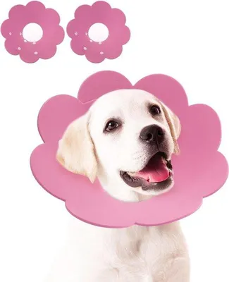 Produktbild von Famanu Hundekegel-Halsband für die Genesung - Verstellbar, atmungsaktiv und komfortabel - Für große, mittelgroße und kleine Hunde