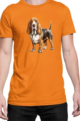 Zdjęcie produktu dla Męska Koszulka Dogs Breeds Basset Hound Dog Breed 005, Man XL / Pomarańczowy
