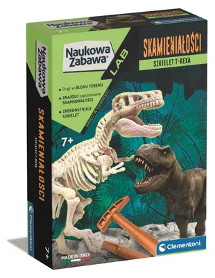 Image de Fossiles - T-Rex