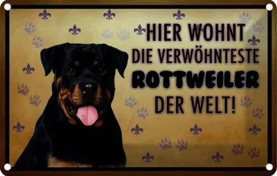 Produktbild von vianmo Blechschild 20x30 cm Hund hier wohnt die Rottweiler Tier Haustier