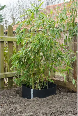 Obrázek produktu pro Folie impotriva radacinilor, Nature, Polietilena, 0.7 x 5 m, u