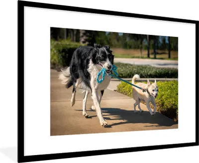 Produktbild von MuchoWow® MuchoWow® Gerahmtes Poster Hund - Seil - Park 90x60 cm - Poster mit zchwarzem Bilderrahmen - Wanddekoration - Fotos