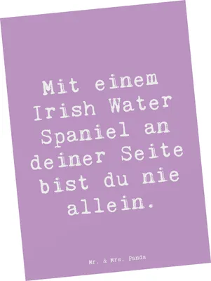 Produktbild von Mr. & Mrs. Panda Postkarte Spruch Irish Water Spaniel Begleiter - Lavendeltraum - Geschenk, Hunderassen Beschreibung, intelligenter Hund, Postkarten, Charakter, lebhafter