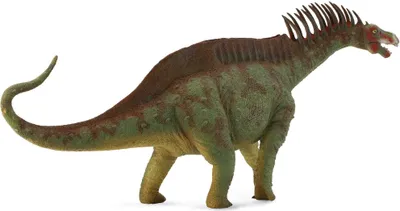 Produktbild von Collecta Deluxe Amargasaurus 1:40 Figur Grün 3-6 Years Grün 3-6 Years