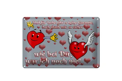 Produktbild von Blechschild Spruch 30x20cm Für Liebe gibt's keine