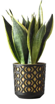 Obrázek produktu pro Dekorativní květináč s vložkou ?25cm Home Garden Ažurový květinový obal Bílá a šedá