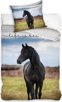 Produktbild von Baumwollbettwäsche Black Mustang