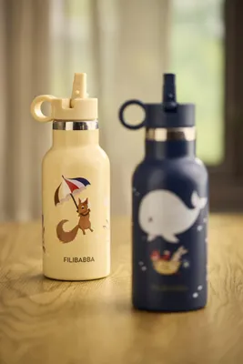 Obrázek produktu pro Filibabba FI-03806, 350 ml, Denní používání, Vícebarevný, Plast, Nerezová ocel, Chlapec/děvče, 0,5 rok/roky