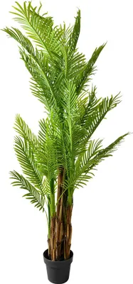 Obrázok produktu pre Clayre & Eef umelá rastlina 170 cm zelený plast