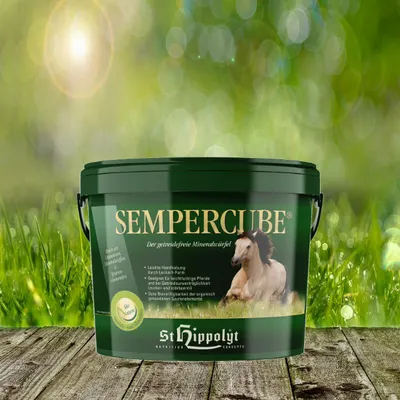 A green bucket of St. Hippolyt SemperCube is placed on a wooden surface with a blurred green grassy background and bokeh lights.