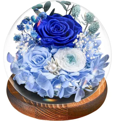 Productafbeelding van Eeuwige blauwe roos in een vaas met verlichting | Geconserveerde bloemen | Geschenkdoos | Decoratie & cadeau | Rond - Blauw