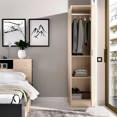 Produktbild von Kleiderschrank Dbusat, Kleiderbügel für Schlafzimmer, Kleiderschrank mit 1 Einzeltür, 41x52h184 cm, Eiche