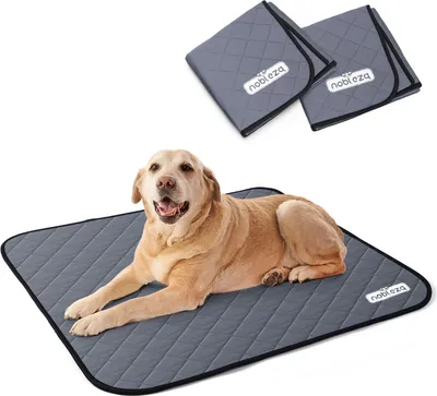 Produktbild von Nobleza 2x Welpenunterlage Waschbar, Trainingseinlagen für Hunde, Wiederverwendbar, Schnell Absorbierend Matten mit Wasserdichter Rutschfester Unterseite, Größe L (81 x 72cm)