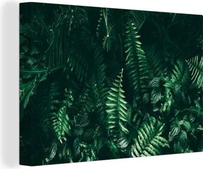 Produktbild von OneMillionCanvasses® - Leinwandbilder - 140x90 cm, Blätter - Dschungel - Natur - Tropisch - Pflanzen, Wandbilder Kunstdruck Wanddekoration - Foto auf Leinwand - Gemälde auf
