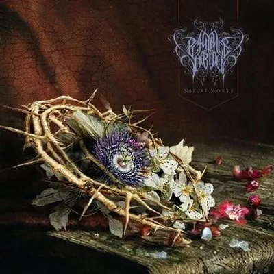 Image de Penitence Onirique: Nature Morte