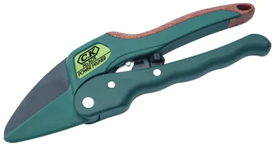 Immagine prodotto di C.K Forbici da giardino Premium con meccanismo a cricchetto
