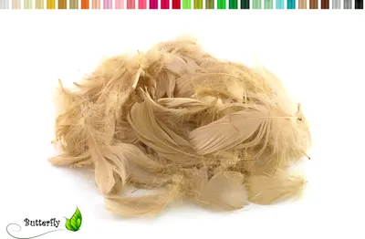Produktbild von 5g Gänsefedern ca. 7-12cm, Farbauswahl:sand / beige / natur 835