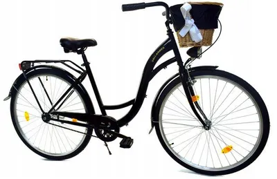 Zdjęcie produktu dla Rower Dallas City 28" 1spd - czarny + wiklina + pokrowiec