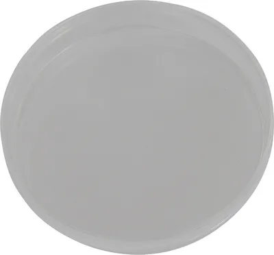 Produktbild von Omegon Petrischale 100 mm Polystyrol mit Deckel