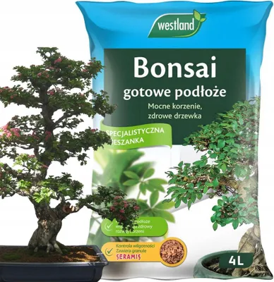 A bag of bonsai soil with a bonsai tree in the foreground.
