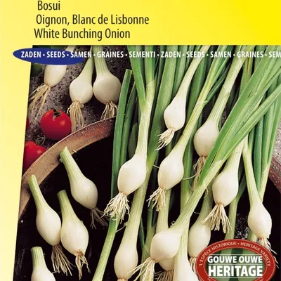 Produktbild von Weiße Lissabon-Frühlingszwiebelsamen – – Züchten Sie knusprige Frühlingszwiebeln – Hohe Qualität für den Gemüsegarten – Vielseitig einsetzbar in Gerichten – Reich an Nährstoffen