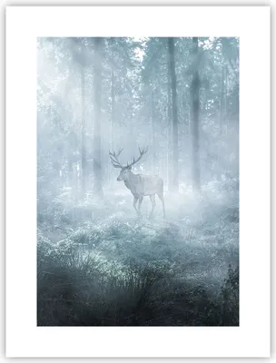 Produktbild von Poster - Poster ohne Rahmen - Hirsch Wald Morgendämmerung - 30x40 cm - Wand Bild - Wanddeko - Wandbilder - Kunstposter - Wandposter - Bilder - Kunstdruck - Wanddekoration - Wandbild - P2XPA30x40-4667