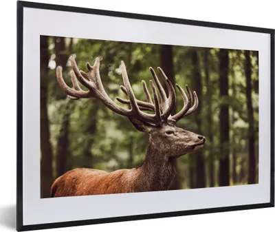 Produktbild von MuchoWow® Gerahmtes Poster Hirsch - Natur - Geweih - Wald - Tiere 60x40 cm - Poster mit Schwarzem Bilderrahmen Wandposter Rahmen Foto Bilder - Schlafzimmer - Plakat in Rahmen - Drucken