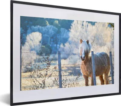 Produktbild von MuchoWow® Gerahmtes Poster Pferd - Winter - Schnee 40x30 cm - Poster mit Schwarzem Bilderrahmen Wandposter Rahmen Foto Bilder - Bilderrahmen - Poster im Rahmen