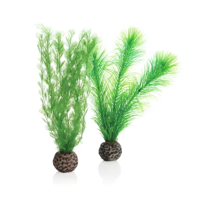 Obrázek produktu pro biOrb Feather fern set S green