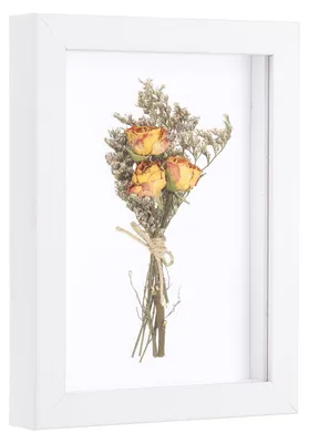 Imagen del producto de Marco expositor – Caja de plástico para fotografías y recuerdos, 15,2 x 20,3 cm