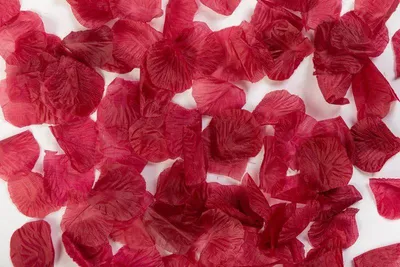 Produktbild von 144 Rosenblätter aus Organza Stoff in Dunkelrot
