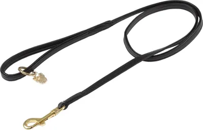 Immagine prodotto di Digby & Fox - Guinzaglio per cani, in pelle, imbottito ER2089 (1,2 cm) (nero)
