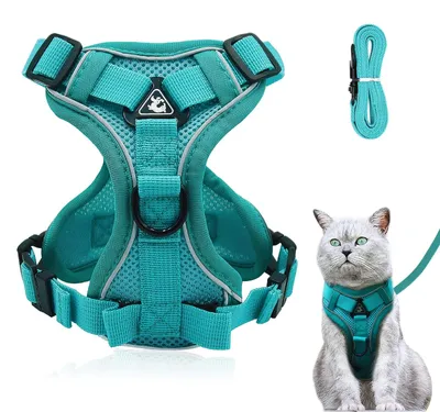 Image de Harnais pour chat - Harnais réglable avec laisse - Bleu eau - Taille S, poitrine 30 à 35 cm - Pour chat et chaton