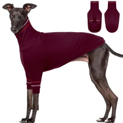 Image de Pull Windhund, col roulé, rouge, taille XS