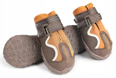 Produktbild von Truelove Seasons Professionelle Wasserdichte Hundeschuhe XL