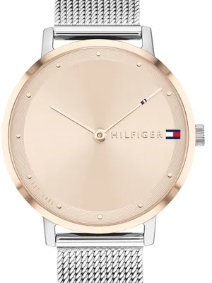Obrázek produktu pro Hodinky Tommy Hilfiger 1782151