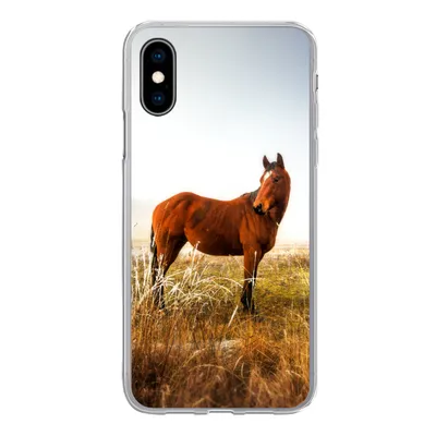 Produktbild von MuchoWow® Handyhülle Schutzhülle Hülle für iPhone X Pferd - Weide - Australien Silikon Softcase Handy Hülle - Handyhülle