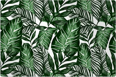 Produktbild von Küchenmatte 100x150 cm Vinylmatte Bodenmatte Dekoration -tropisches Blattwerk Palmen