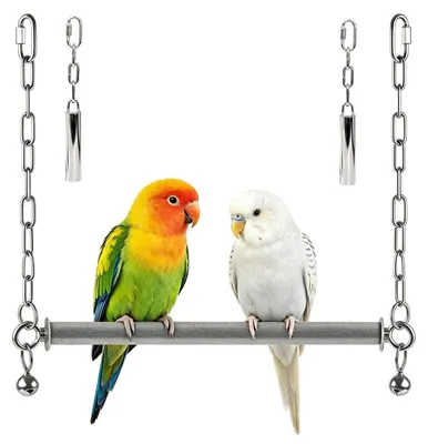 Image de Balancier en acier inoxydable, perche suspendue pour perroquets avec clochettes, adaptée aux grandes oiseaux