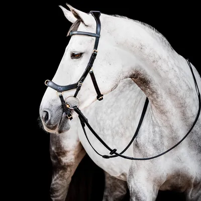 Image de Horseware Ireland Bridle Snaffle Micklem 2 Multi Bridle Micklem Bridle Black Full