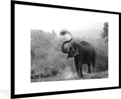 Produktbild von MuchoWow® Gerahmtes Poster Reinigungselefant - schwarz und weiß 90x60 cm - Poster mit Schwarzem Bilderrahmen Wandposter Rahmen Foto Bilder - Wanddekoration - Fotos