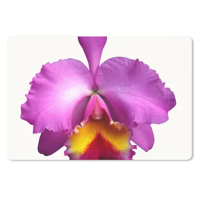 Produktbild von MuchoWow® Mauspad Mousepad Nahaufnahme Orchidee 27x18 cm - Mousepads - Maus Mat - Pad - Mausunterlage - Büroartikel - Desk Matten