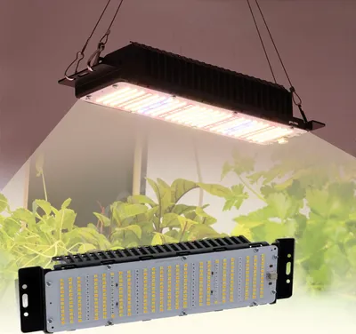 Obrázok produktu pre LED rastová lampa, 2 ks, 50 W, rastlinná lampa s plným spektrom, 312 LED, LED rastová lampa s adaptérom pre rastliny, stan, skleník