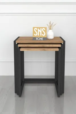 Image de Ensemble de tables basses SNS Home, 3 pièces, structure métallique, Pijnboom