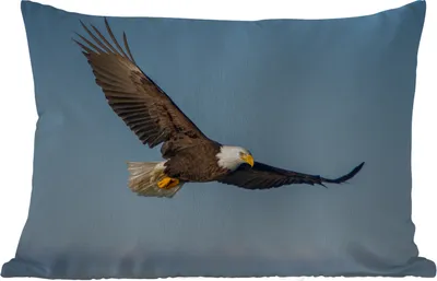 Produktbild von MuchoWow® Outdoor Kissen - Vogel - Adler - Raubvögel - 60x40 cm - Wetterfest - Lounge Kissen - Zierkissen - Kissen für Innenräume