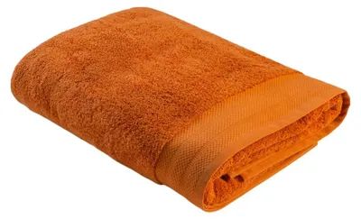 Image de ARTG - Serviette de bain « Excellent Deluxe » LT3517 (taille unique) (cannelle)