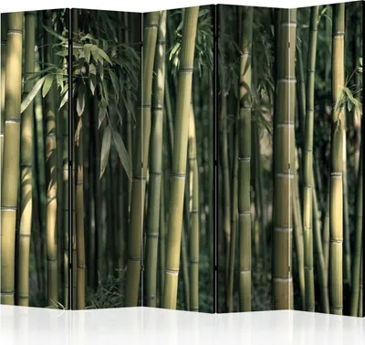Produktbild von Akusticher Raumteiler Bambus Foto Paravent 225x172 cm beidseitig auf Vlies-Leinwand bedruckt Akustikschaum Trennwand Spanische Wand Sichtschutz Home Office Natur Botanik Pflanze b-B-0409-z-c