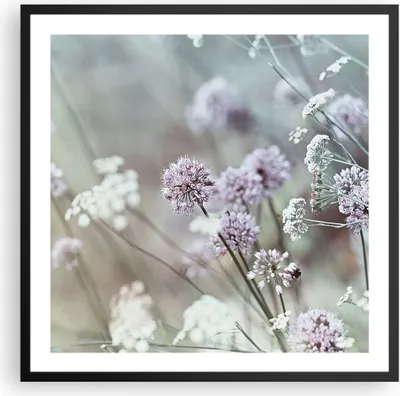 Produktbild von Gerahmtes Poster - Schwarzer Rahmen - Wiese Knoblauch Blume - 60x60 cm - Wand Bild - Wanddeko - Wandbilder - Kunstposter - Wandposter - Bilderrahmen - Bilder - Kunstdruck - Wandbild - P2BAC60x60-4177